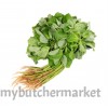 GREEN SPINACH