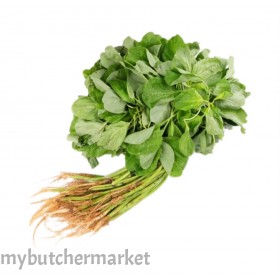 GREEN SPINACH
