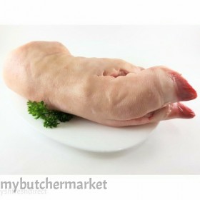 PIG TROTTER