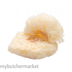 DRIED WHITE FUNGUS