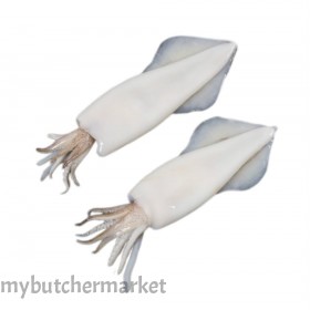 SQUID CLEAN WITH HEAD 10/20