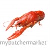 LAKER CRAYFISH