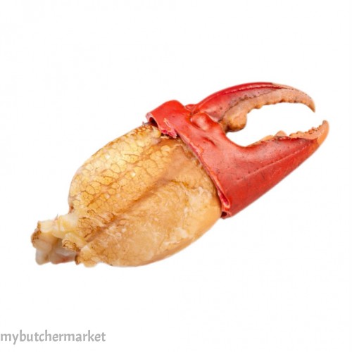 CRAB CLAW MIKA GG