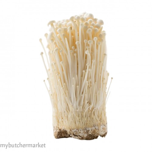 ENOKI MUSHROOM