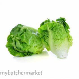 BABY ROMAINE