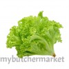 GREEN CORAL