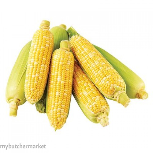 SWEET CORN