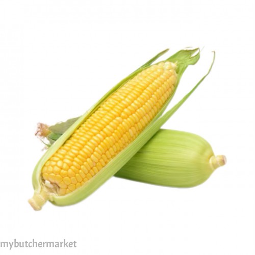 SWEET CORN
