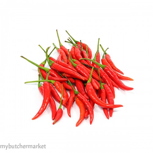 RED CHILLI PADI