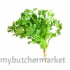 CORIANDER