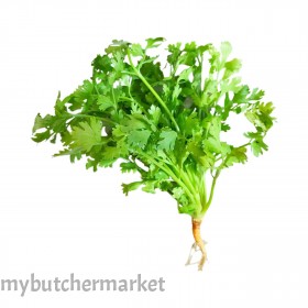 CORIANDER
