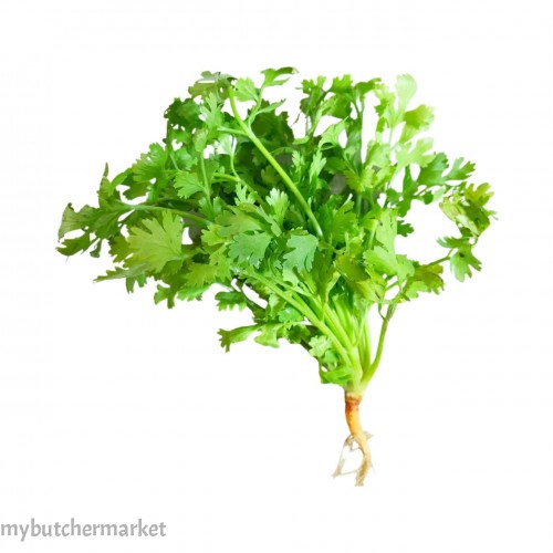 CORIANDER