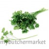 CORIANDER