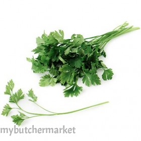 CORIANDER