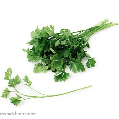 CORIANDER