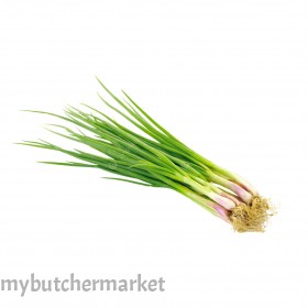 SPRING ONION