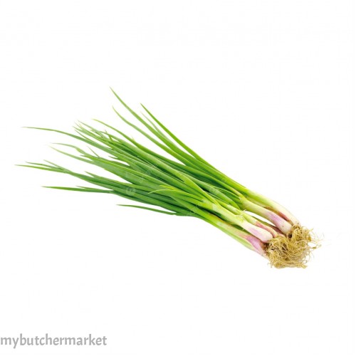 SPRING ONION