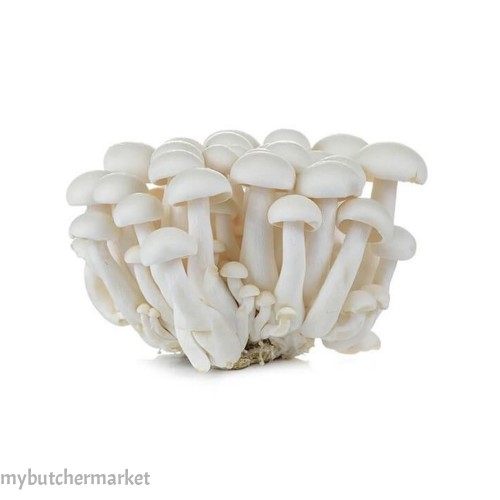 WHITE MUSHROOM