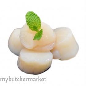 HOKKAIDO SCALLOP S 31/35