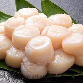 HOKKAIDO SCALLOP 21/25 OR 31/35
