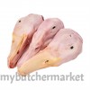 DUCK HEAD