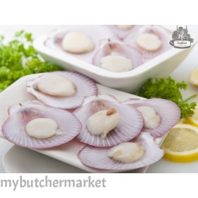 FROZEN HALF SHELL SCALLOP (PINK) 40/50
