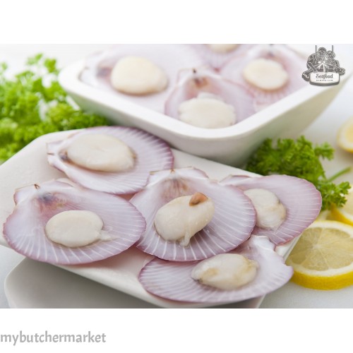 FROZEN HALF SHELL SCALLOP (PINK) 40/50