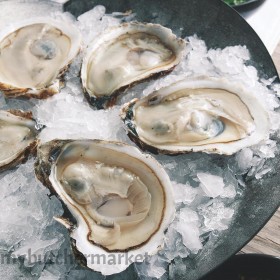 HALF SHELL OYSTERS