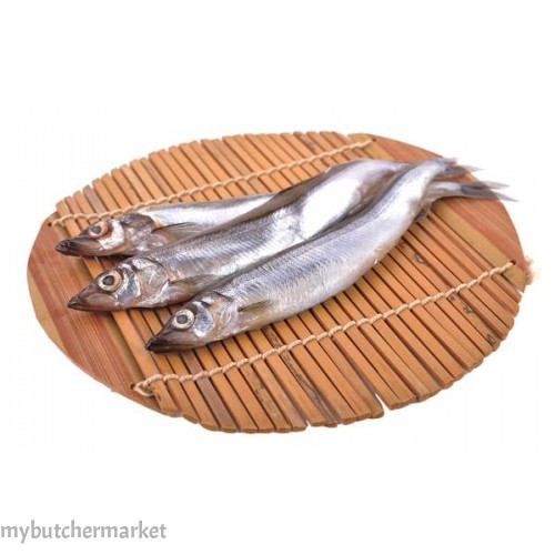 JAPANESE SHISHAMO FISH