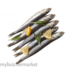 SHISHAMO FISH