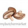 SHITAKE MUSHROOM