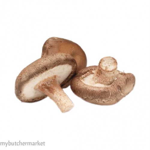 SHITAKE MUSHROOM
