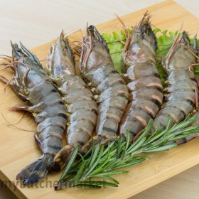 FROZEN TIGER PRAWN 16/20