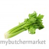 CELERY STALK