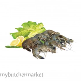 SHRIMP TIGER 21/25