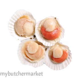 HALF SHELL SCALLOP 8-9CM