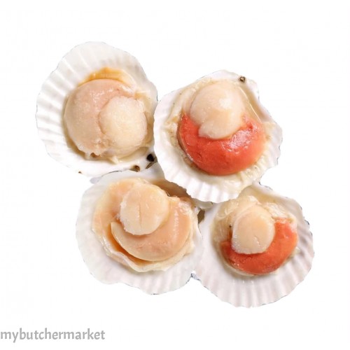 HALF SHELL SCALLOP 8-9CM