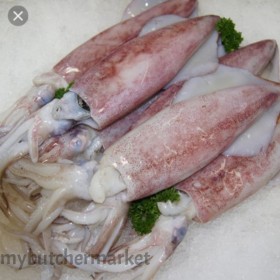 FROZEN SQUID  6/10