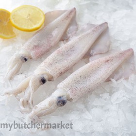 FROZEN SQUID  3/6