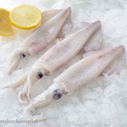 FROZEN SQUID  3/6