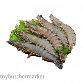 SHRIMP TIGER 8/12