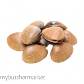 CS RAW WHITE CLAM