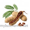 TAMARIND ASAM JAWA