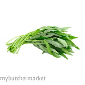 WATER SPINACH