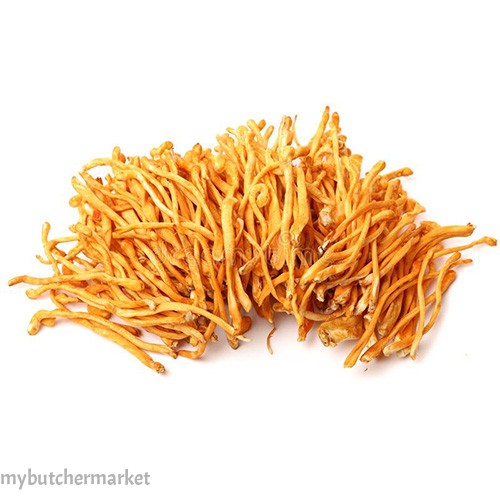 CORDYCEPS FLOWER/CHONG CAO HUA