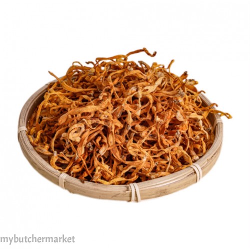 CORDYCEPS FLOWER
